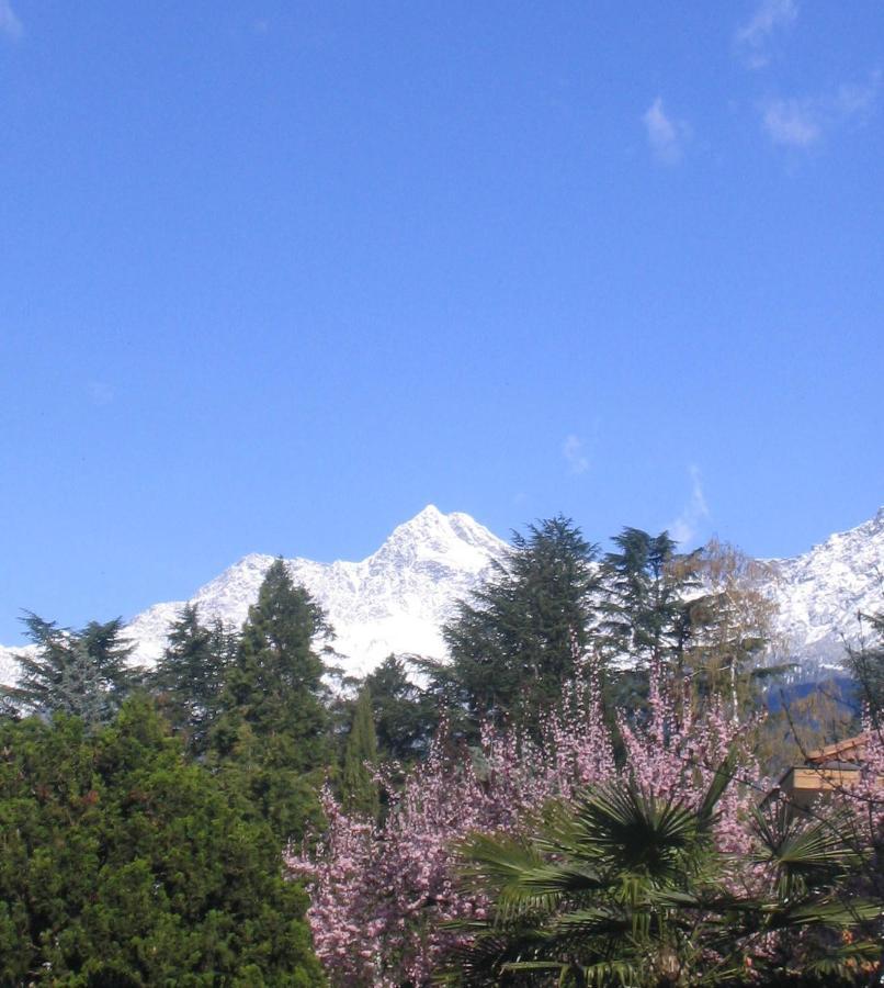 Hotel Zima Merano Exteriér fotografie
